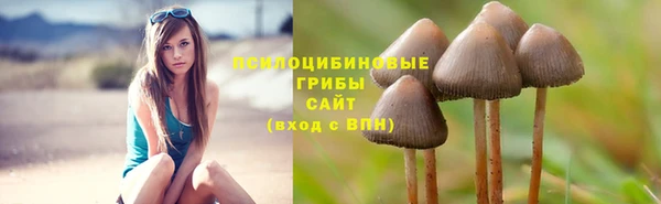 меф Каменск-Шахтинский